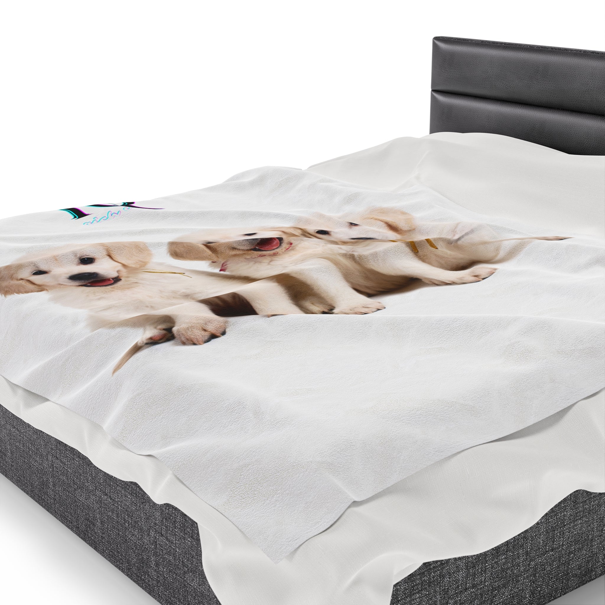 Rich Vibes RR Three White Retriever Pups - Velveteen Plush Blanket White