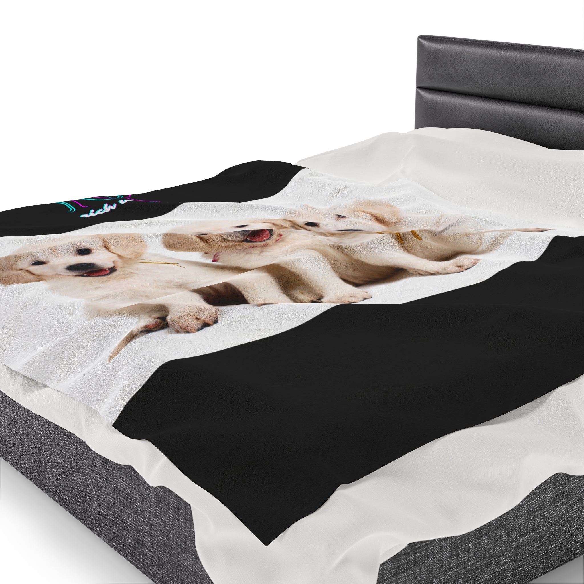 Rich Vibes RR Three White Retriever Pups - Velveteen Plush Blanket Black