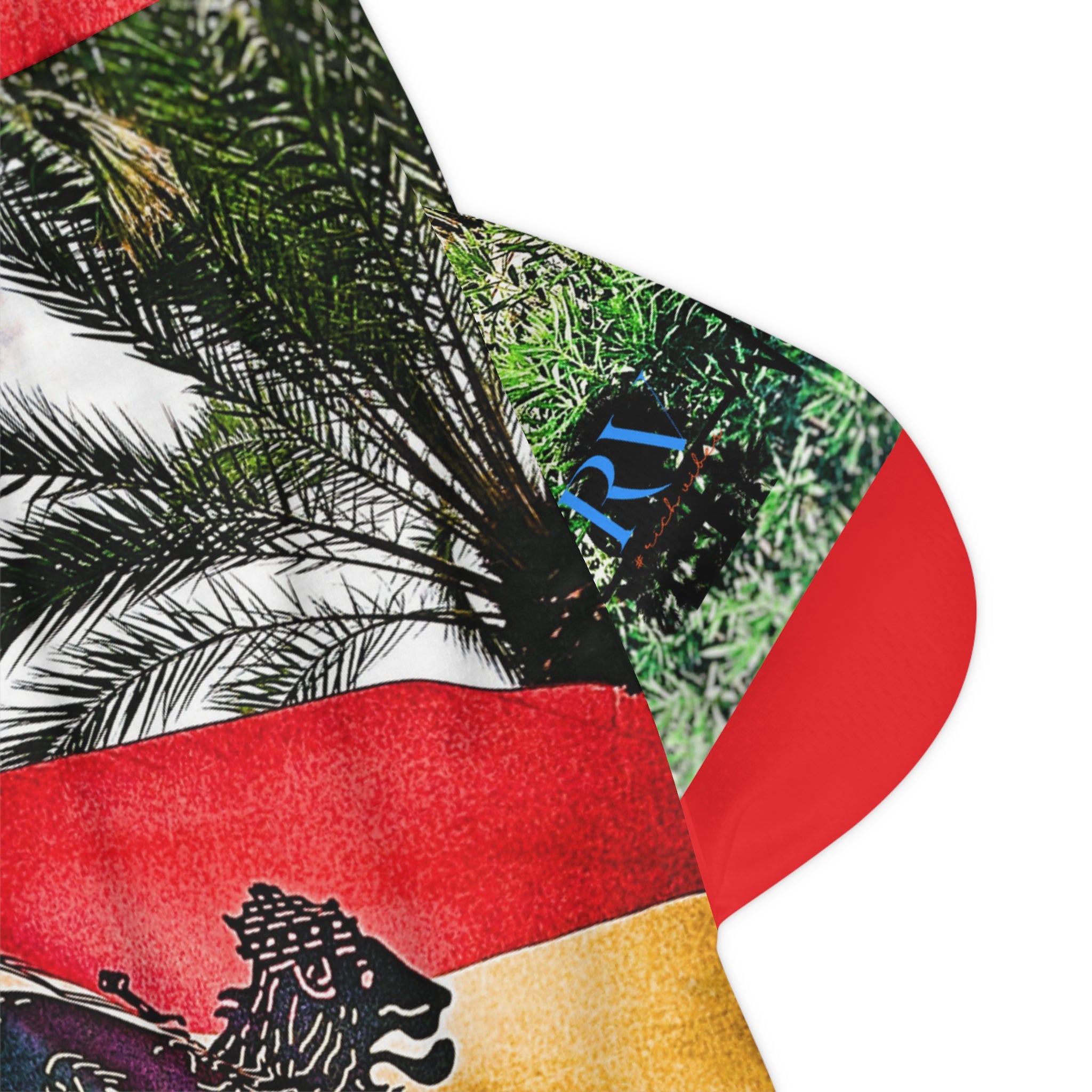 Lion of Judah Jamaica Flag RV Pulse - Basketball Rib Shorts (AOP)