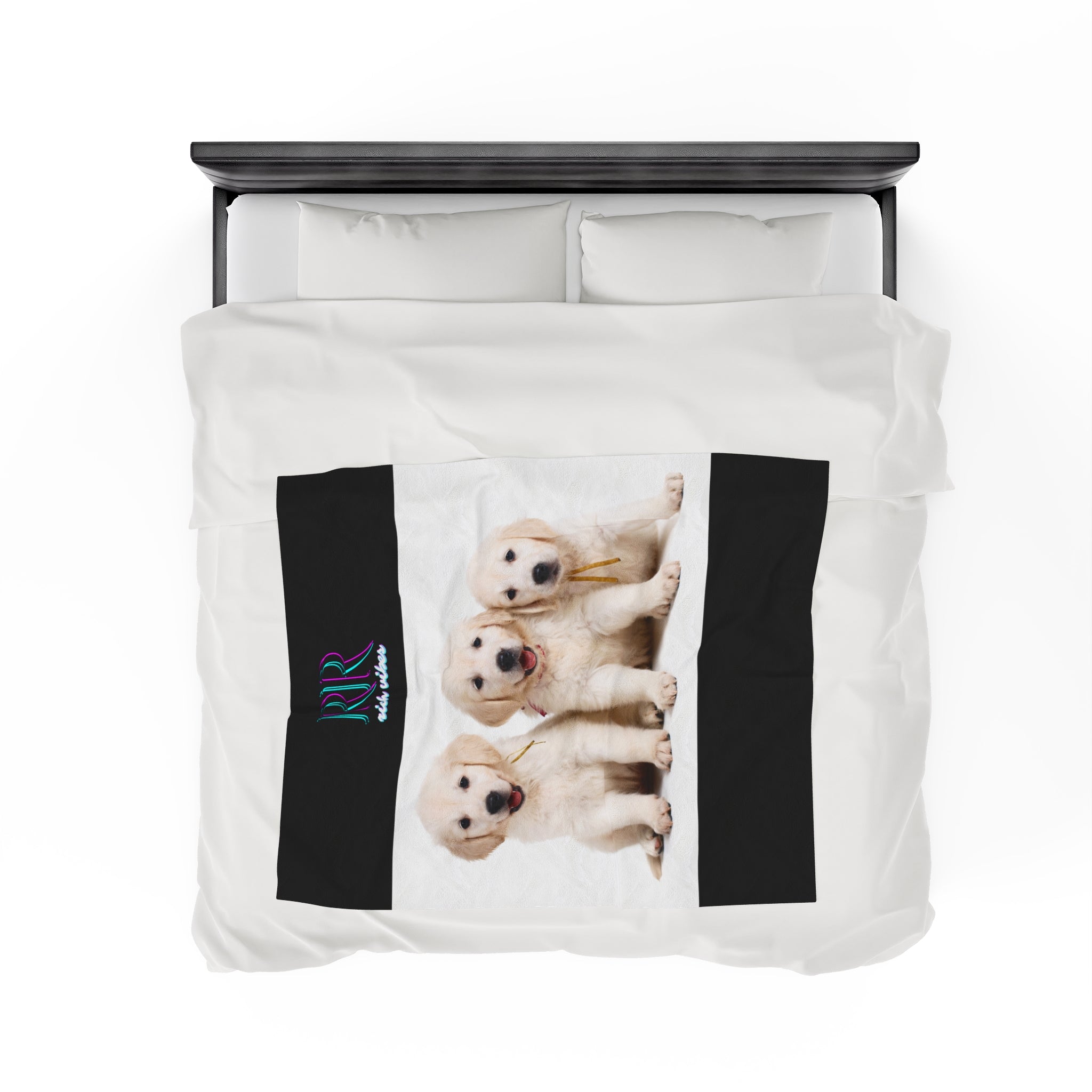 Rich Vibes RR Three White Retriever Pups - Velveteen Plush Blanket Black