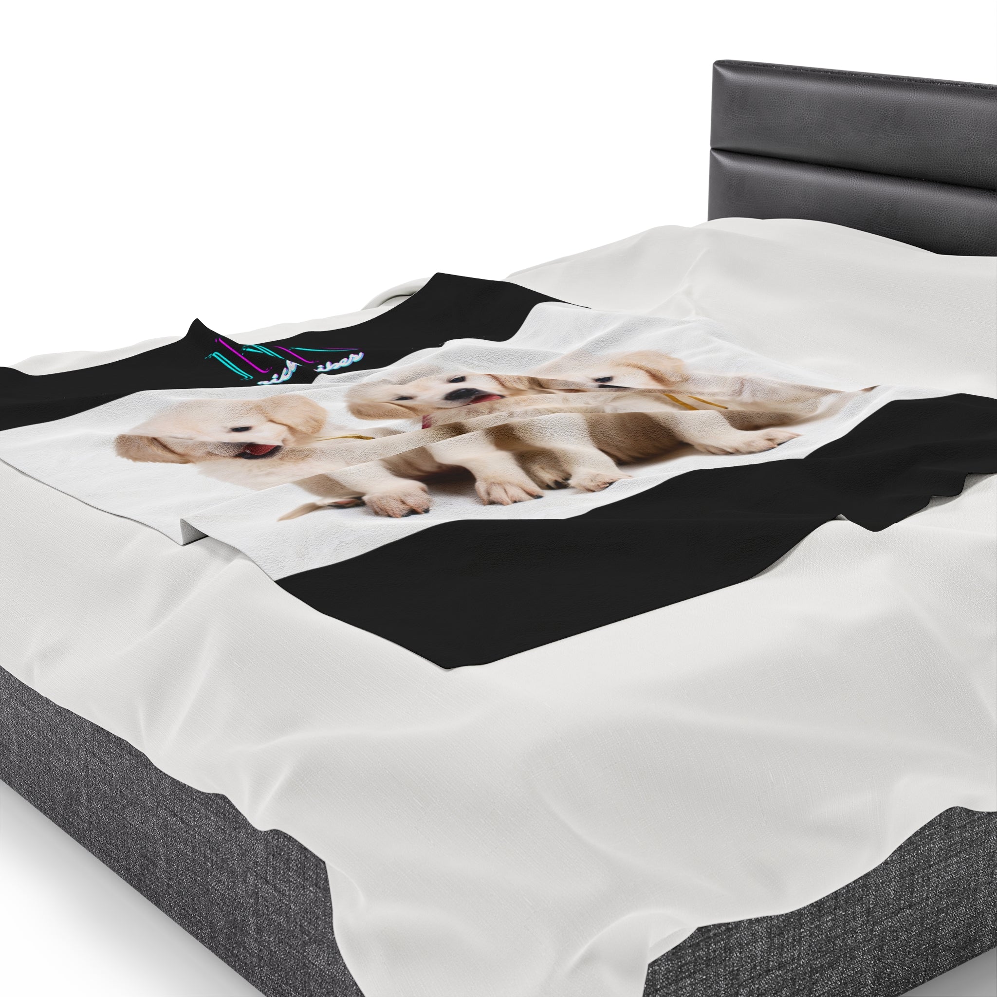 Rich Vibes RR Three White Retriever Pups - Velveteen Plush Blanket Black