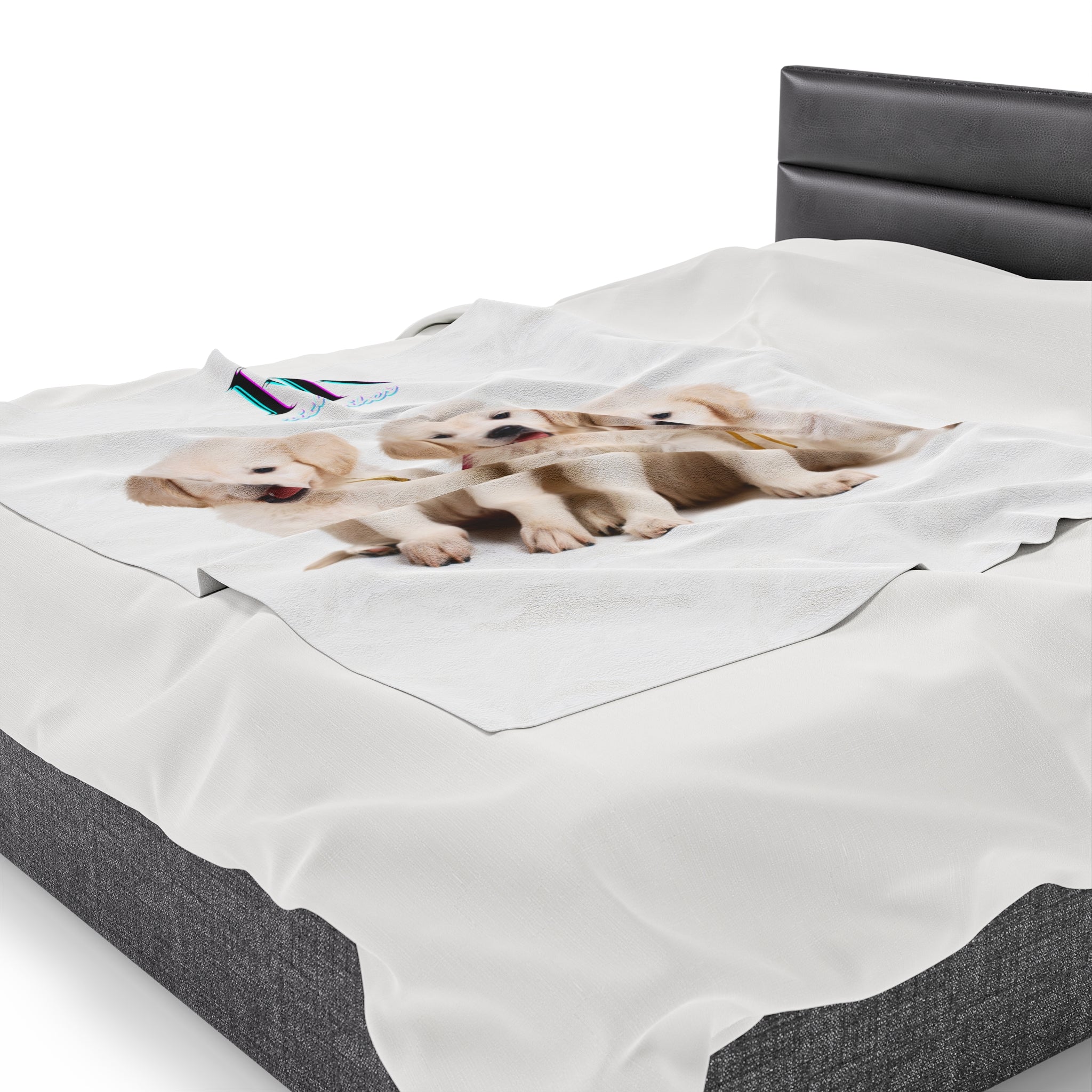 Rich Vibes RR Three White Retriever Pups - Velveteen Plush Blanket White