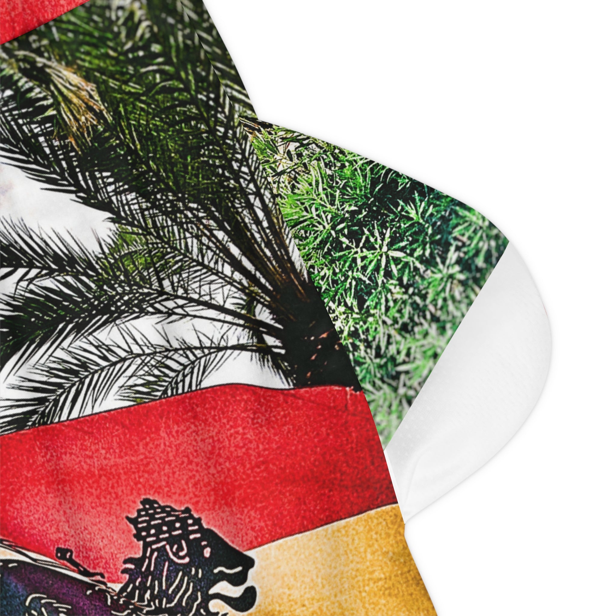 Lion of Judah Jamaica Flag - Basketball Rib Shorts (AOP)